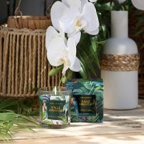 Product Scented candle in a glass vessel Cucumber-Eucalyptus candle Green Ø7cm