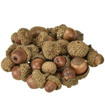Product Acorns for decoration, autumn decoration, natural autumn fruits Ø1.5 – 2.5cm L1.5 – 3cm 300g
