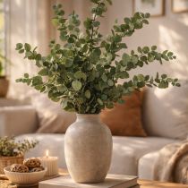 Product Preserved Eucalyptus Decorative Branches and Leaves, Round, Dried Green Decoration, 150g