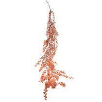 Product Eucalyptus artificial hanging autumn eucalyptus orange 150cm