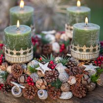 Product Exoten Cones Leucodendron White Washed 3-4cm 450g