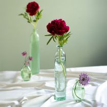 Product Bottle decoration vase glass clear/green retro Ø6.5cm H30cm