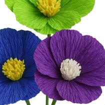 Product Florist crepe paper dark blue 50x250cm