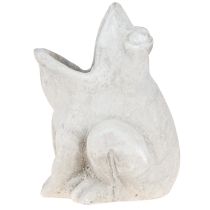 Product Frog decorative plant pot flower pot concrete grey H18.5cm