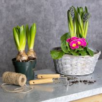 Product Woven basket as stylish floral decoration in the living area. Easter basket, 23cm, 6 pieces.