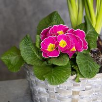 Product Woven basket as stylish floral decoration in the living area. Easter basket, 23cm, 6 pieces.