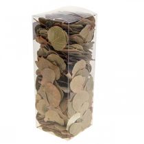 Product Dried leaves, decorative Moneta, dried floral arrangements, natural, 200g