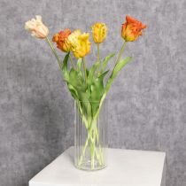 Product High-quality glass vase for decorative arrangement in modern homes, 24cm