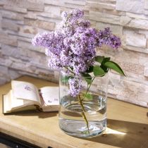 Product Glass vase clear cylindrical Ø12cm H20cm