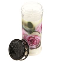 Product Grave candles oil light mourning candles roses Ø7.5cm H20.5cm 6pcs