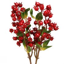 Product Rosehip decoration branch with red fruits L60cm 2 pcs