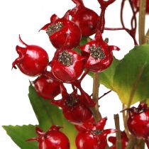 Product Rosehip decoration branch with red fruits L60cm 2 pcs