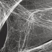 Product Halloween decoration spider web cobwebs 70×100cm 150g
