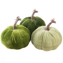 Product Autumn decoration pumpkin light green green dark green Ø13cm 3 pcs