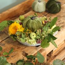 Product Autumn decoration pumpkin light green green dark green Ø13cm 3 pcs