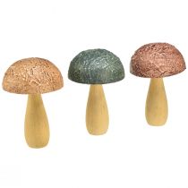 Product Wooden mushrooms decoration mushrooms autumn decoration wood assorted 11×7.5cm 3pcs