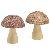 Product Wooden mushrooms decoration mushrooms table decoration autumn brown natural 5×6cm 8 pcs