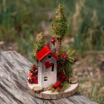 Product Natural Paulownia wood slices, Ø26-28cm, set of 3 for DIY, decoration, wedding