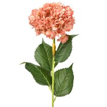 Product Hydrangea Pink 80cm 1 pc
