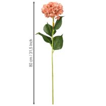 Product Hydrangea Pink 80cm 1 pc