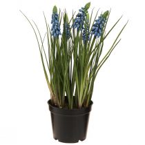 Product Hyacinths artificial in pot blue 24cm