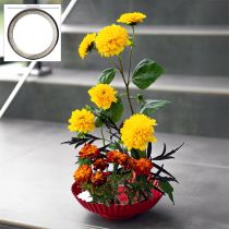 Product Creative floral arrangement aid with brass pins for Ikebana and flower arrangements