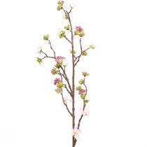 Product Cherry Blossom Branch Pink 95cm