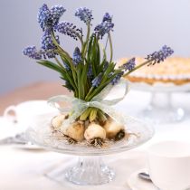 Product Classic glass cake plate on foot - Elegant for every celebration Ø 20cm