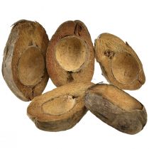 Product Coconut planter, natural, 20cm, 5 pieces