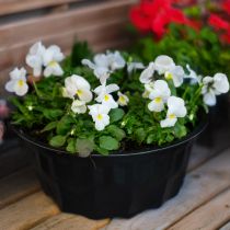 Product Kitchen Decoration Black Cake Pan Gugelhupf Metal Ø23cm