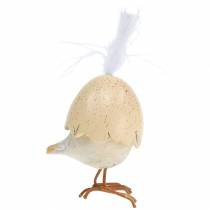 Product Chick in the eggshell white, cream 6cm 6pcs