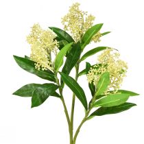 Product Artificial Flowers Cream Skimmia japonica Skimmie 45cm 2pcs