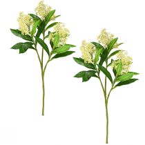 Product Artificial Flowers Cream Skimmia japonica Skimmie 45cm 2pcs