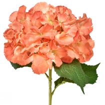 Product Artificial Hydrangea Gigant Decorative Flower Salmon Ø23cm L84cm