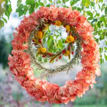 Product Artificial Hydrangea Gigant Decorative Flower Salmon Ø23cm L84cm