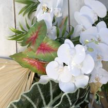 Product Artificial caladium six-leaved green/pink artificial plant like real!