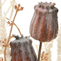 Product Poppy seed pods, decorative dried flowers, artificial fern, cream, 63cm – Elegant decoration for home &amp; wedding