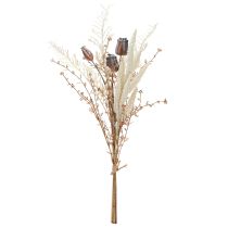 Product Poppy seed pods, decorative dried flowers, artificial fern, cream, 63cm – Elegant decoration for home &amp; wedding