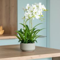 Product Artificial Orchids Artificial Flowers in Pot White 60cm
