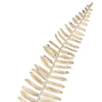 Product Artificial fern branched white cream artificial plants L120cm