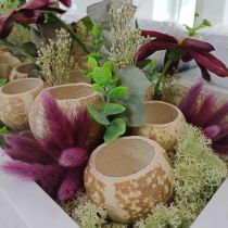 Product Pumpkin Decoration Bell Cup Pumpkin Cup bleached 50 pcs