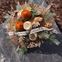 Product Artificial flowers, Banksia, Proteaceae Orange L58cm H6cm 3 pcs