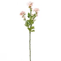 Product Artificial Flowers Artificial Asters Silk Flowers Pink 80cm