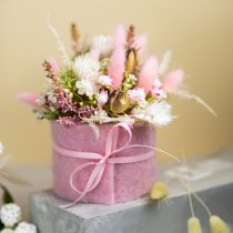 Product Dried Lagurus (Rabbit Tail Grass) Pink Decorative Dried Flowers 65-70cm 100g