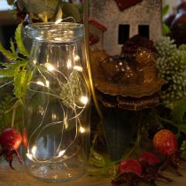 Product Battery-operated string lights for indoor use, warm white, 10 LEDs, 1m length, 6 pieces