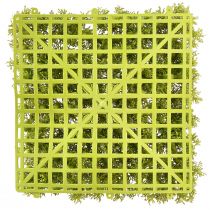 Product Moss artificial moss mat – perfect for moss picture light green 25×25cm