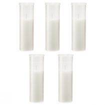 Product Refill candles for grave lights white 84h H17cm 5 pcs
