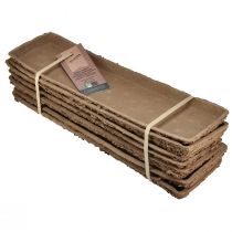 Product Oasis Biolit base for 2 floral foam bricks 48×13×2cm 7 pcs