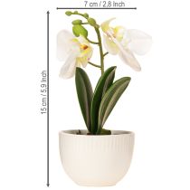 Product Mini orchids artificial white orchids in a pot 15cm