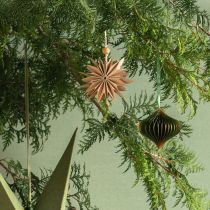 Product Paper Stars Christmas Hanging Decoration Brown White 12cm Set of 6